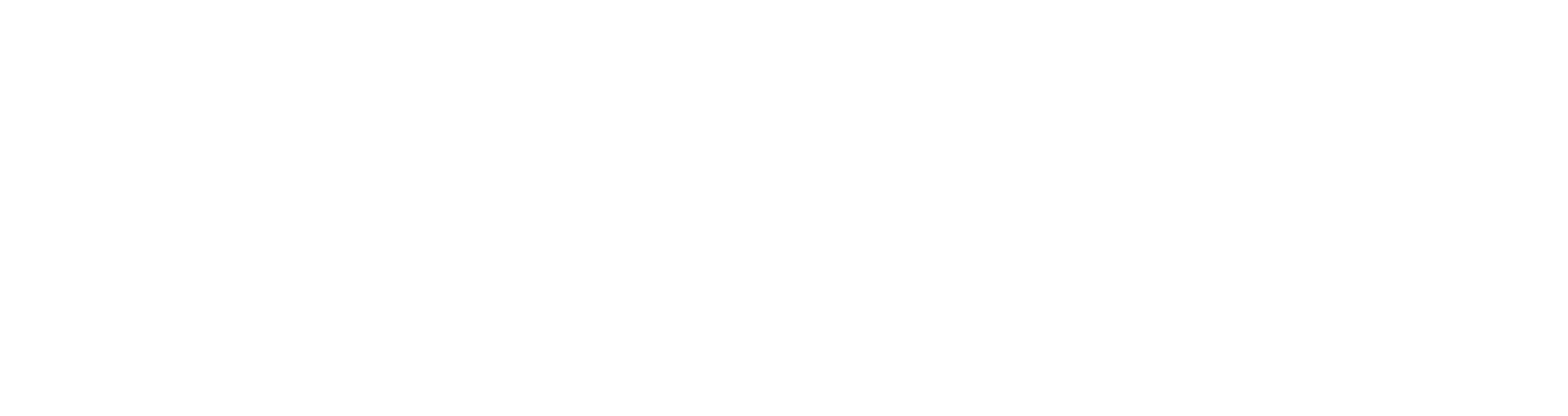 White logo - no background